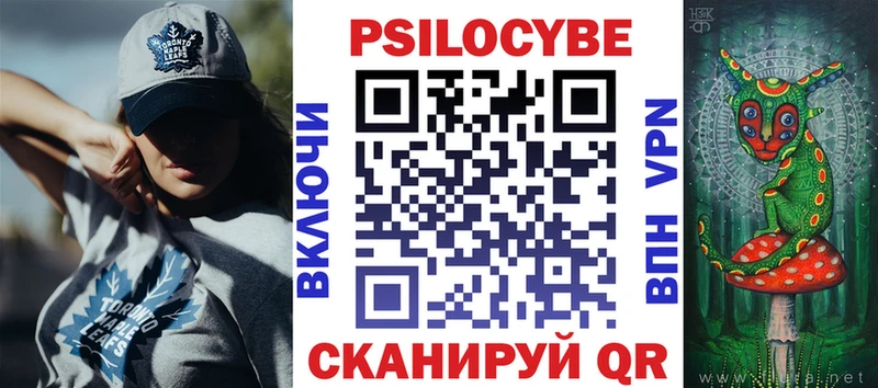 Псилоцибиновые грибы Psilocybine cubensis  Купить закладки  Никольское 